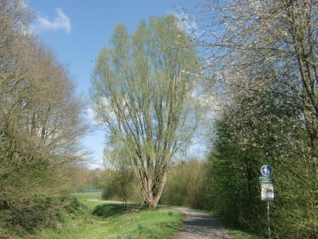 Übach-Palenberg : In der Schley, Stadtteil Marienberg, Naherholungsgebiet Wurmtal